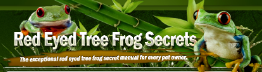 Red Eyed Tree Frog Secrets Coupons