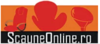 ScauneOnline Coupons