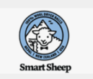 Smart Sheep Dryer Balls Coupons
