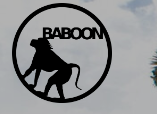 Baboon Outdoors Coupons