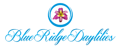 Blue Ridge Daylilies Coupons