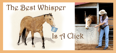 Clicker Training Horses Coupons