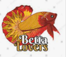 Betta Lovers Coupons