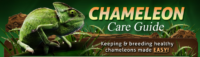 Chameleon Care Guide Coupons