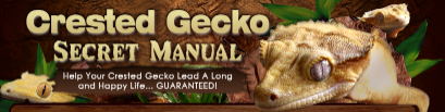 Crested Gecko Secret Manual Coupons