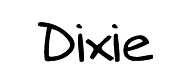 Dixie Fashion Coupons