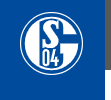 FC Schalke 04 Coupons