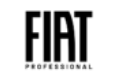 Fiat Professional Coupons