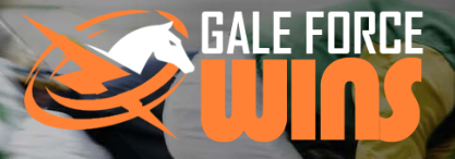 Gale Force Wins Coupons