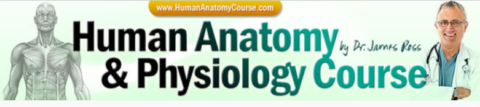 Humanan Atomy Course Coupons