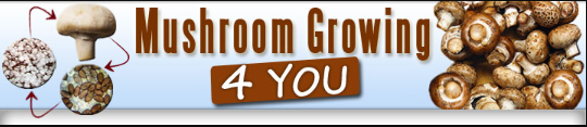 mushroom-growing-4-you-coupons