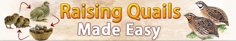 raising-quail-made-easy-coupons