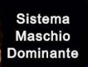 Sistema Maschio Dominante Coupons