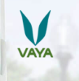 Vaya Life Coupons