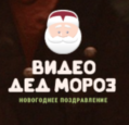 Videodedmoroz RU Coupons