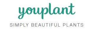 Youplant Coupons