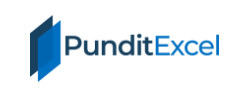 PunditExcel Coupons