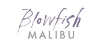 Blow Fish Shoes Coupons