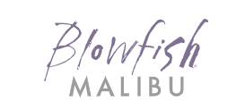 Blow Fish Shoes Coupons