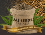 MJ Seeds Canada Coupons