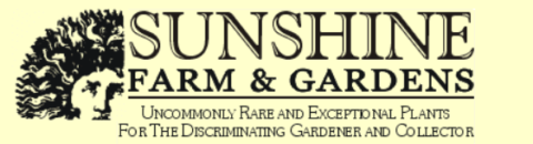 Sunfarm Coupons