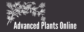 advanced-plants-coupons
