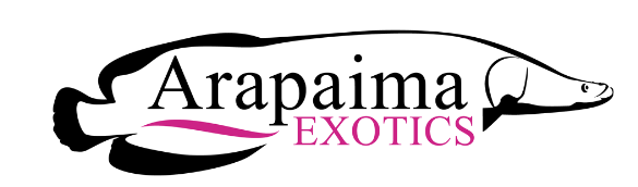 arapaima-exotics-coupons