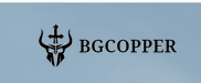 BGCOPPER Coupons