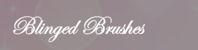blinged-brushes-coupons
