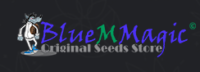 Blue M Magic Coupons