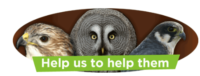 Raptor Foundation Coupons