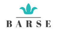 Barse Jewelry Coupons