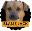 blamejack-coupons