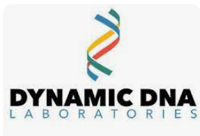 Dynamic DNA Coupons