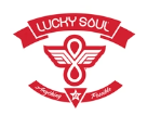 30% Off Lucky Soul Coupons & Promo Codes 2024