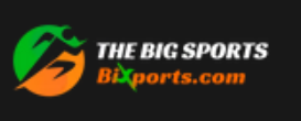 30% Off The Big Sports Coupons & Promo Codes 2024