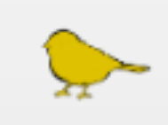 30% Off The Yellow Bird Coupons & Promo Codes 2024