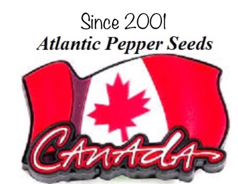Atlantic Pepper Seeds Coupons