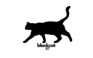 Blackcat Art Coupons