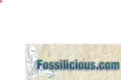Fossilicious Coupons