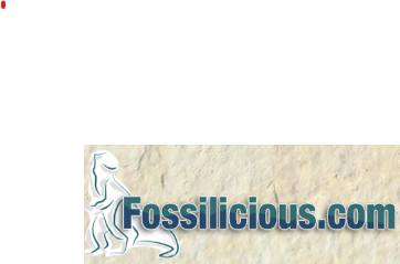 fossilicious-coupons