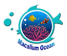 Macallum Ocean Coupons