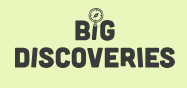 Big Discoveries Coupons
