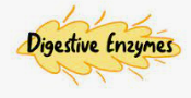 digestive-enzymes-coupons