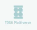 TOGA Multiverse Coupons