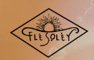 Flesoley Coupons