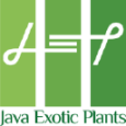 Java Exotic Plant Coupon Code and Promo Codes 2025