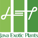 Java Exotic Plant Coupon Code and Promo Codes 2025